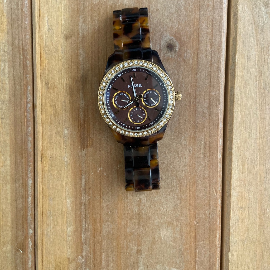 Fossil Watch